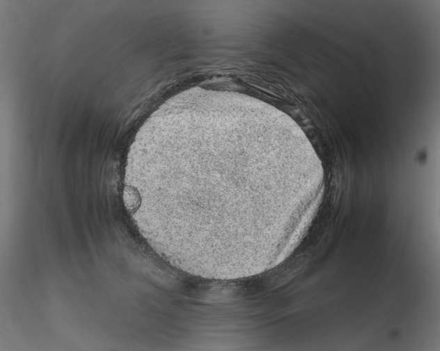 X0000116100612200912211613