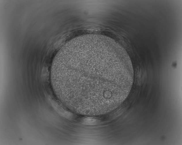 X0000116100614200912211613