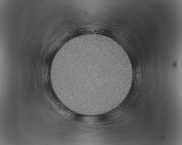 X0000116100615200912211613