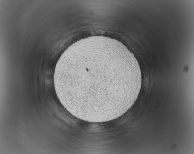 X0000116100616200912211613