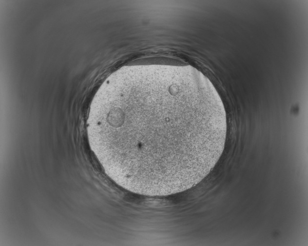 X0000116100617200912211613