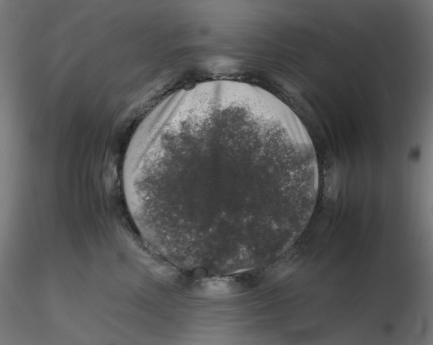 X0000116100618200912211613