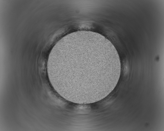 X0000116100619200912211613