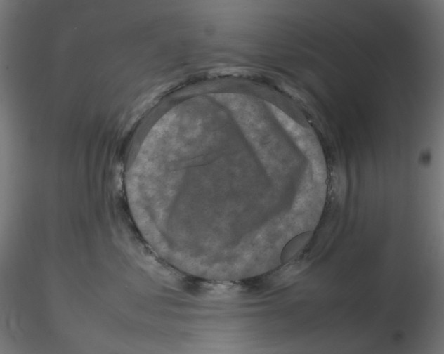 X0000116100621200912211613