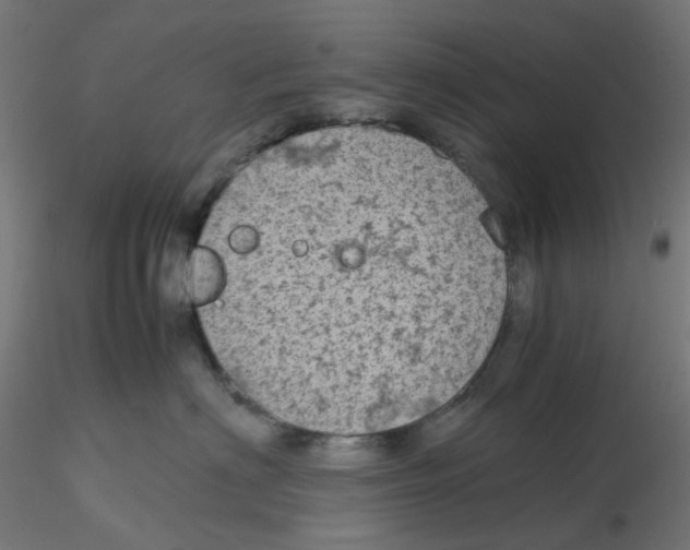 X0000116100622200912211612