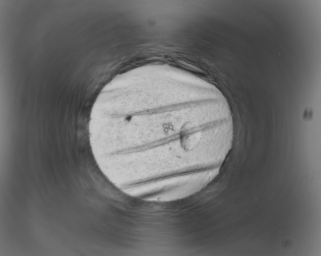 X0000116100624200912211612