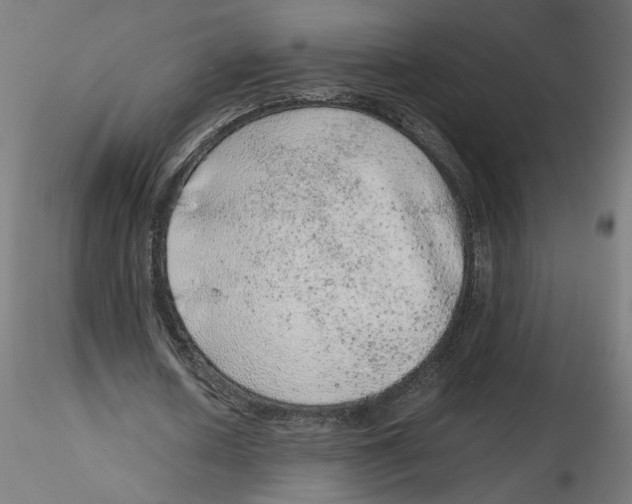 X0000116100626200912211612