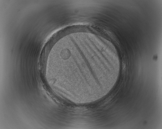 X0000116100628200912211612