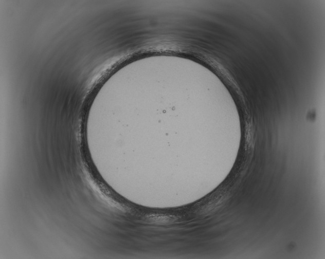 X0000116100629200912211612