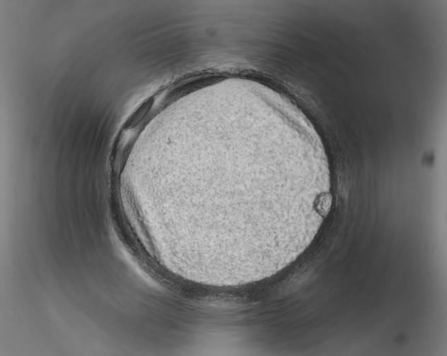 X0000116100630200912211612