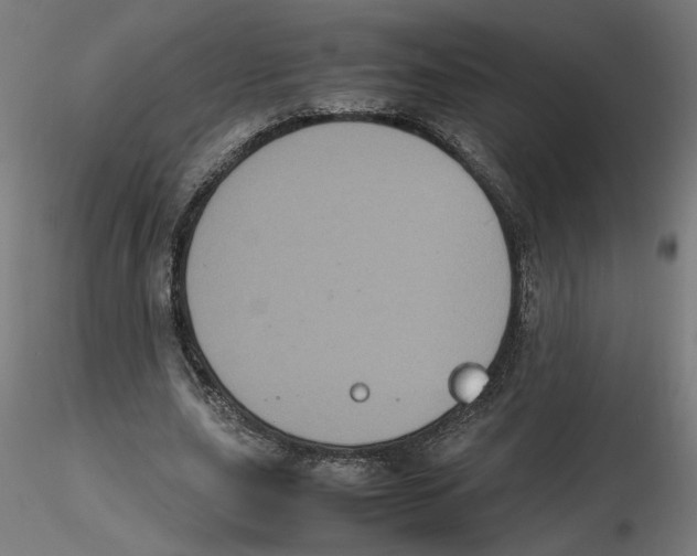 X0000116100631200912211612