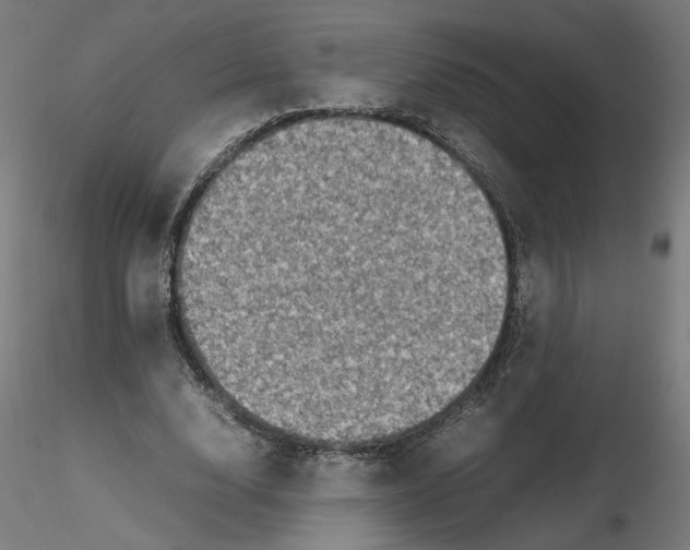 X0000116100632200912211612