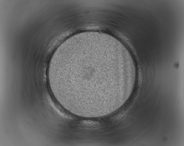 X0000116100633200912211612