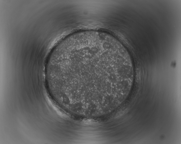 X0000116100634200912211612