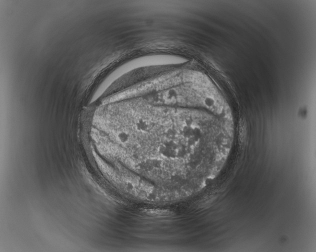 X0000116100637200912211612