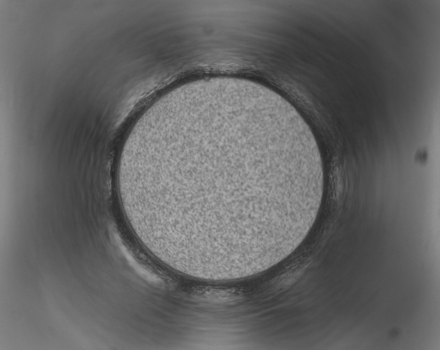 X0000116100638200912211612