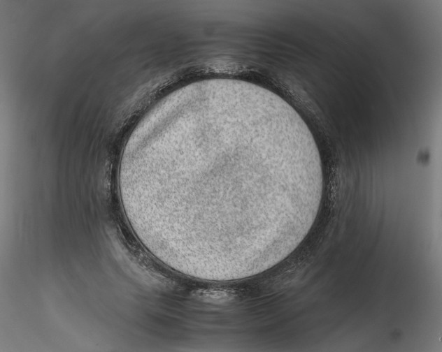 X0000116100639200912211612