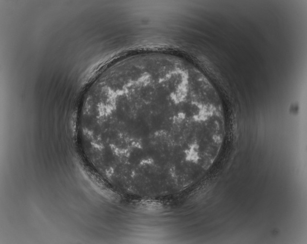 X0000116100640200912211612