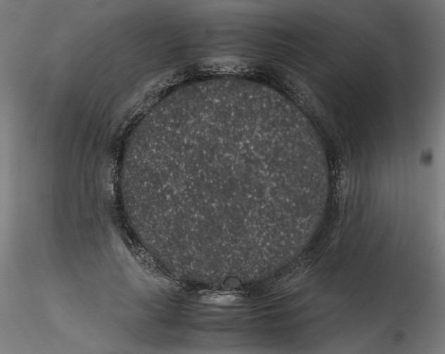 X0000116100643200912211612