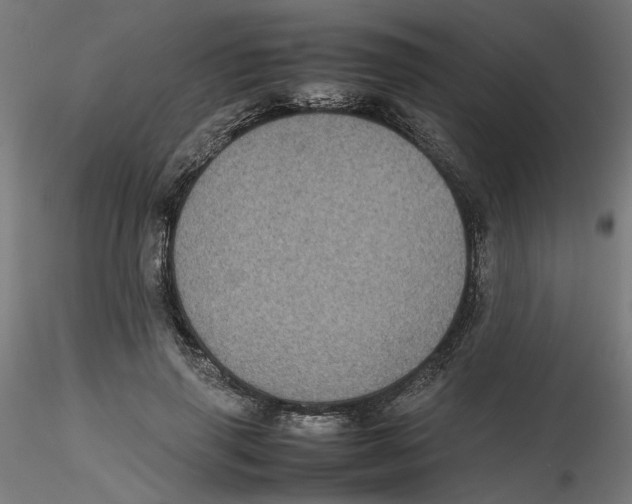 X0000116100645200912211612