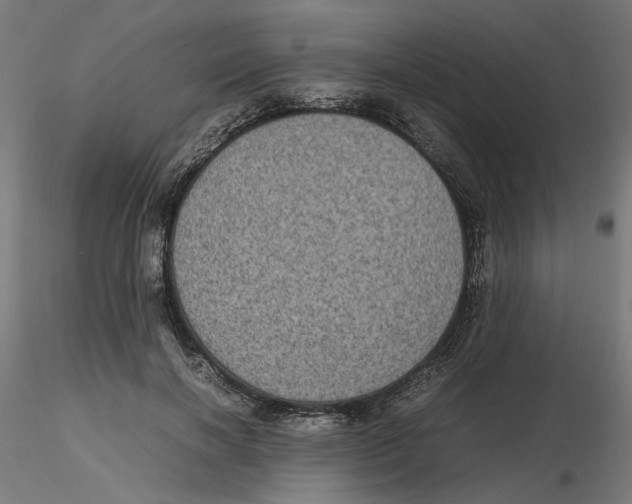 X0000116100646200912211612