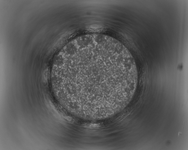 X0000116100647200912211612