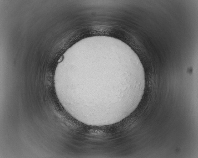 X0000116100649200912211612