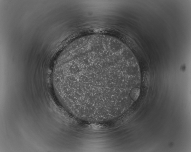 X0000116100650200912211612