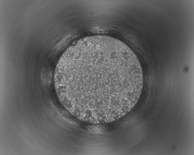 X0000116100652200912211612