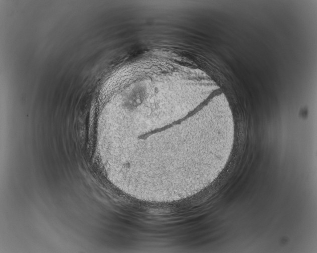 X0000116100653200912211612