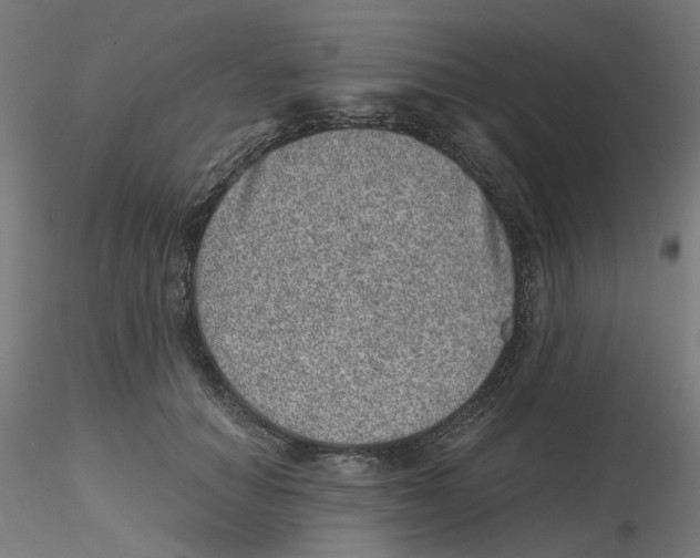 X0000116100654200912211612