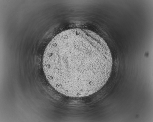 X0000116100657200912211612