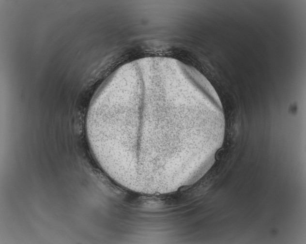 X0000116100658200912211612