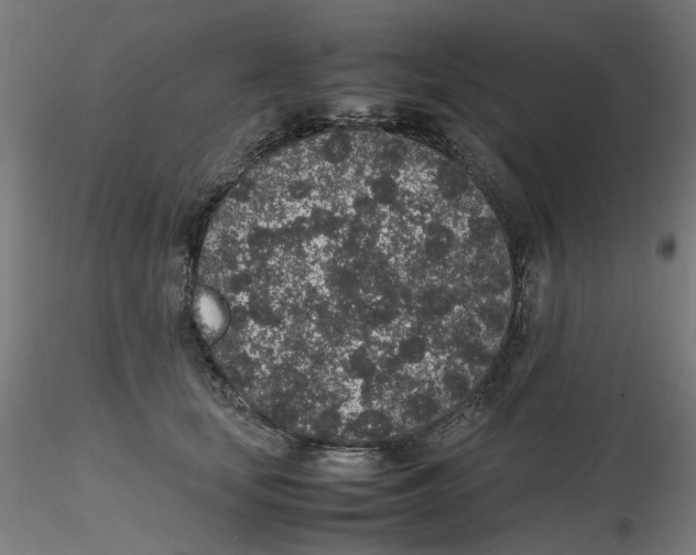 X0000116100659200912211612