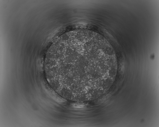 X0000116100661200912211612