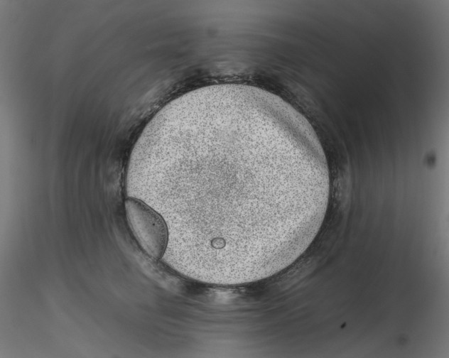 X0000116100662200912211612