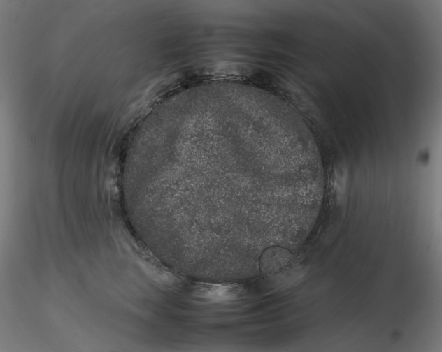 X0000116100663200912211612