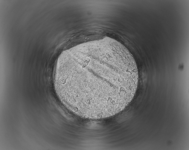 X0000116100664200912211612