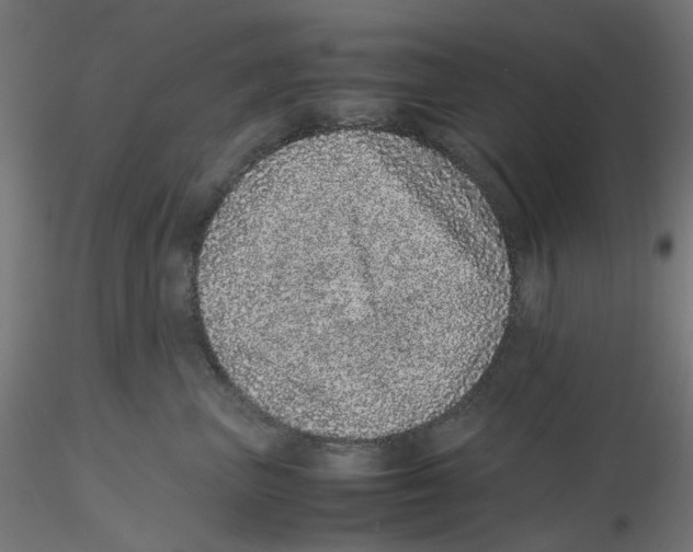 X0000116100667200912211612