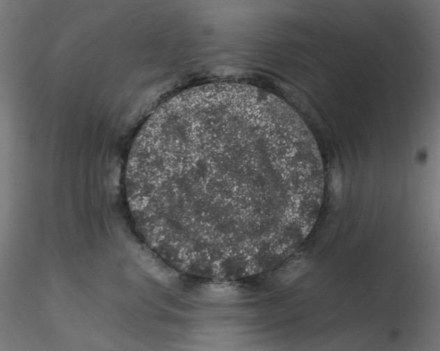 X0000116100668200912211612