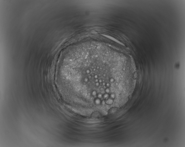 X0000116100669200912211612