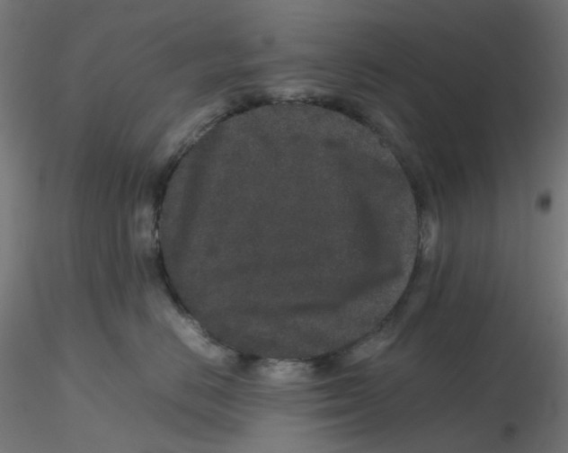 X0000116100670200912211612