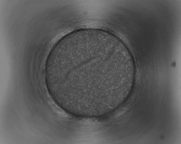 X0000116100673200912211612