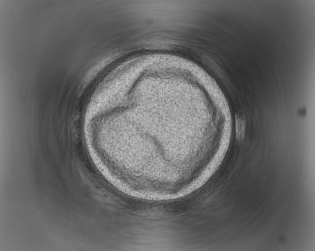 X0000116100675200912211612