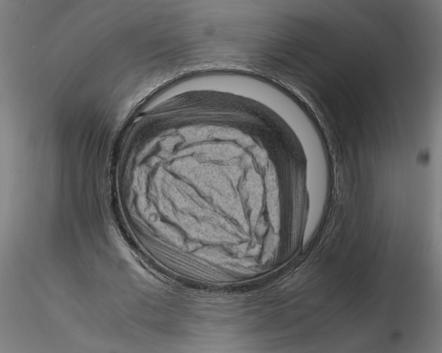 X0000116100677200912211612