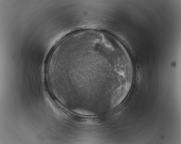 X0000116100678200912211612