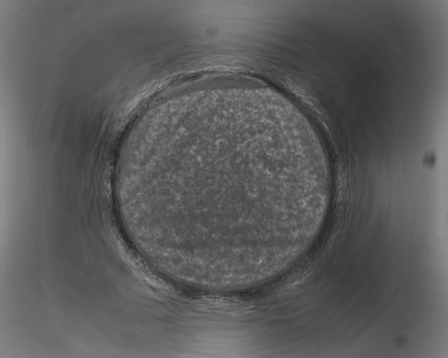 X0000116100681200912211612