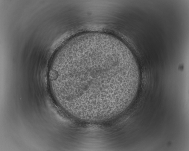 X0000116100682200912211612