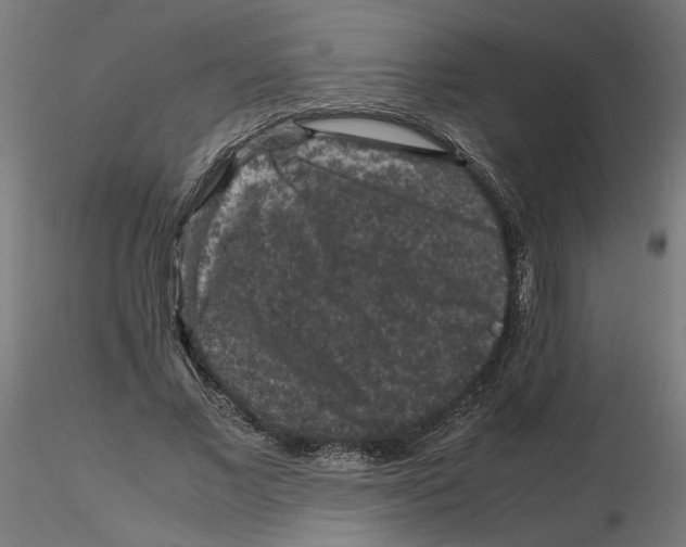 X0000116100685200912211612