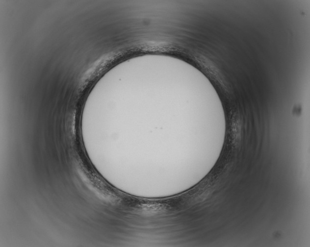 X0000116100686200912211612